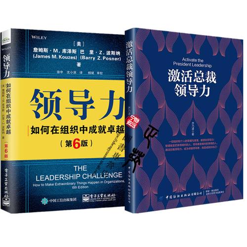 激活总裁领导力 在组织中成就卓越的六大行动路径